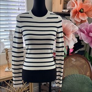 Abercrombie & Fitch Blue & White Stripe Nantucket Hamptons Slim Crew Sweater Top